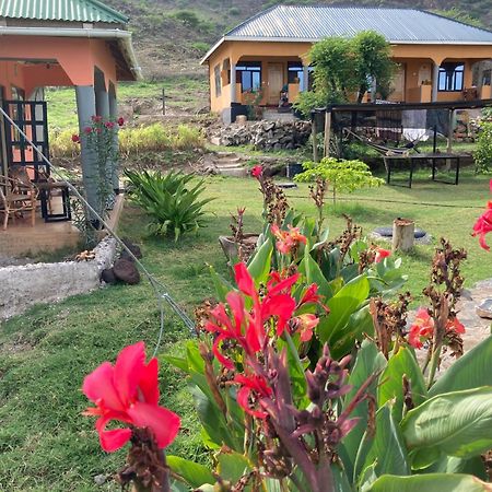 Lake Natron Maasai Guesthouse Mtowabaga Exterior photo
