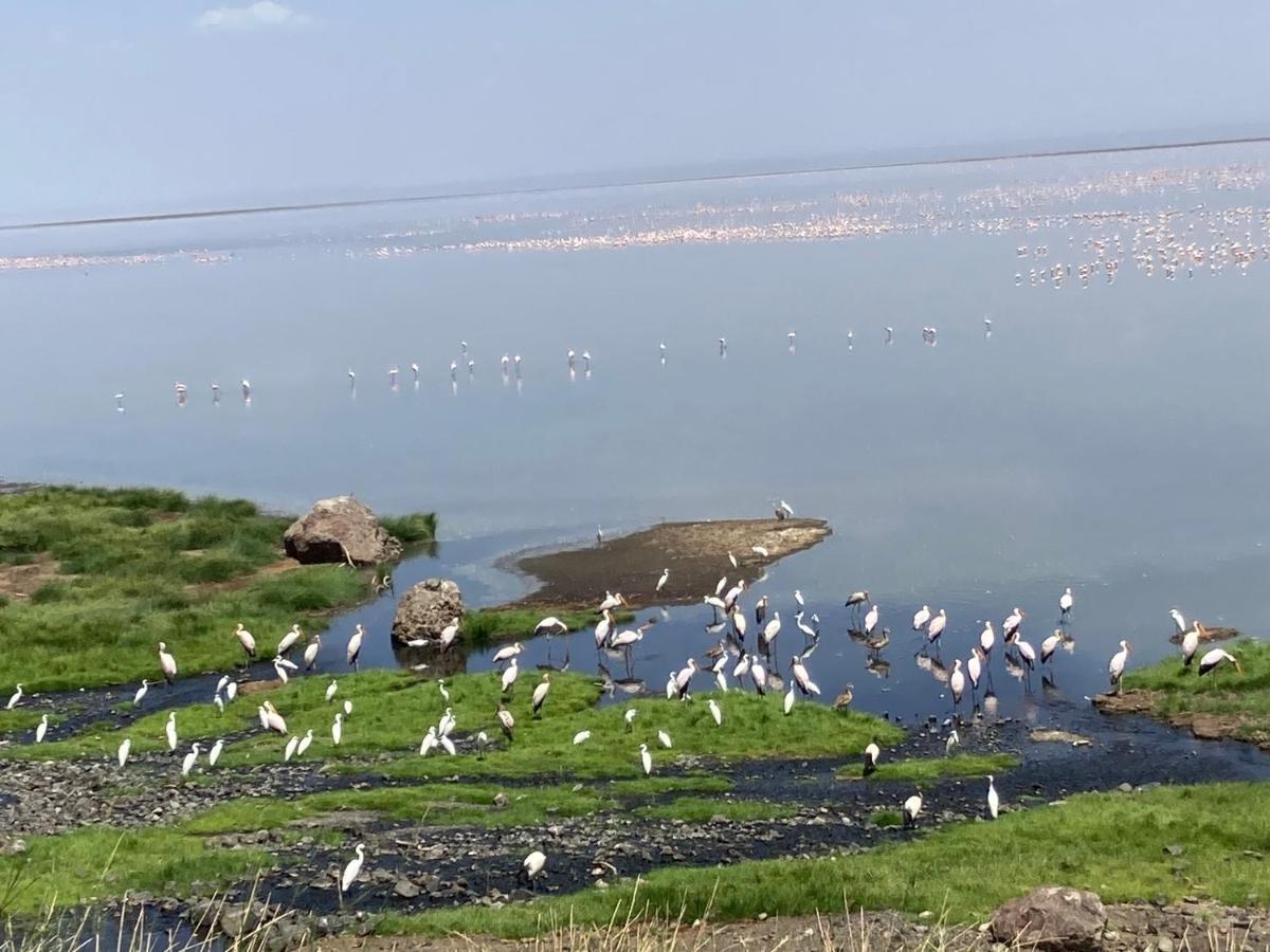 Lake Natron Maasai Guesthouse Mtowabaga Exterior photo
